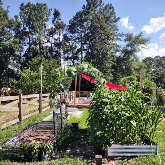 Tips for successful raised bed gardening: