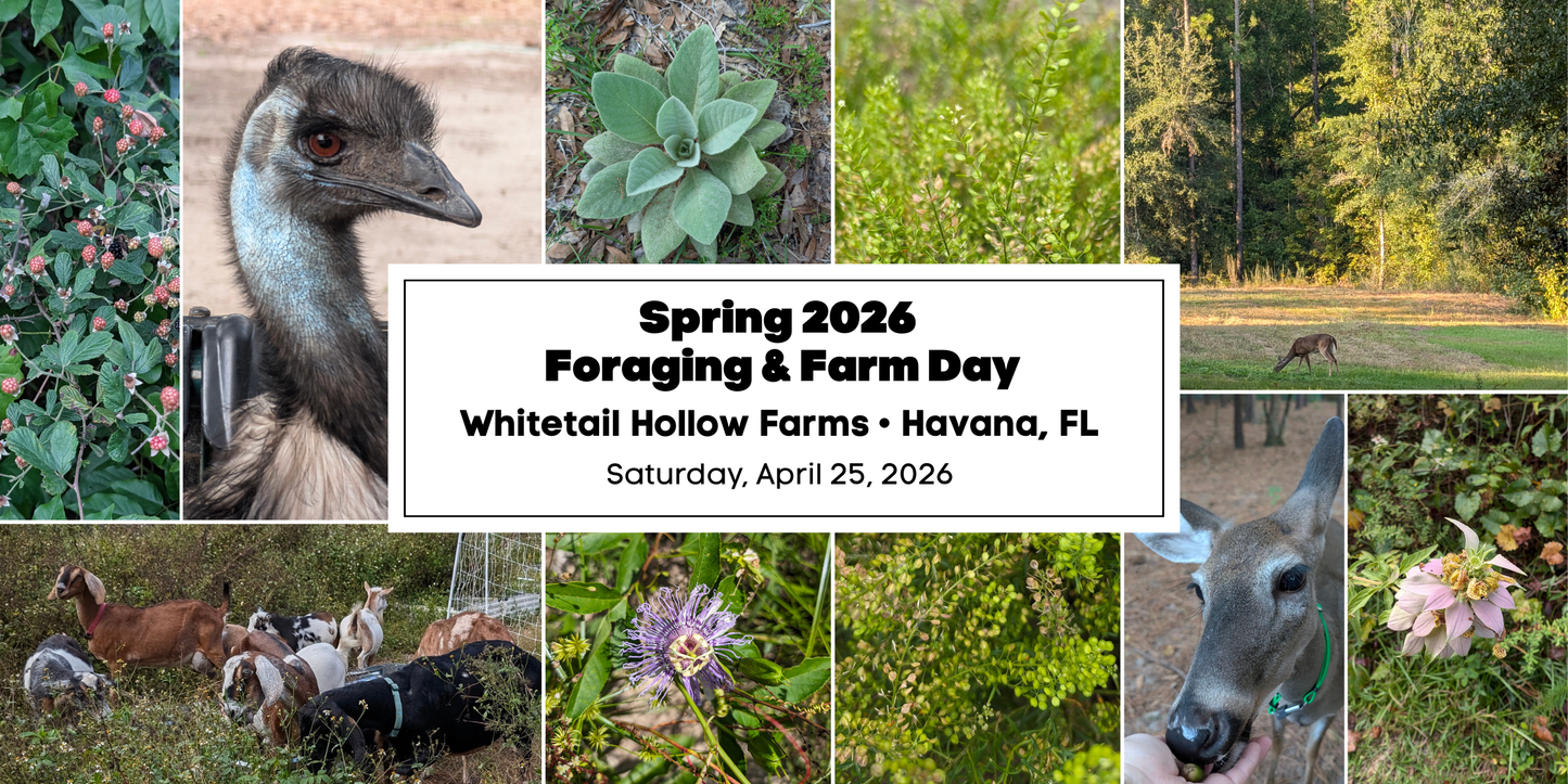 Spring 2026 Foraging and Farm Day (AM Session)