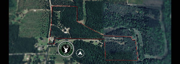 Ariel View of Whitetail Hollow Farms