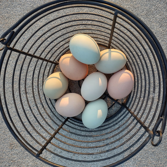 Farm-Fresh Chicken Eggs | 1 Dozen